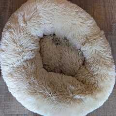 ペット用のクッション売ります。の画像