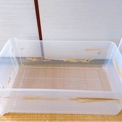 【決まりました】衣装ケース2個セット  Lサイズ&Mサイズ🅰️の画像
