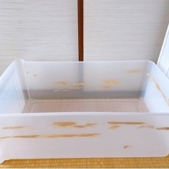 【決まりました】衣装ケース2個セット　Lサイズ&Mサイズ🅱️の画像