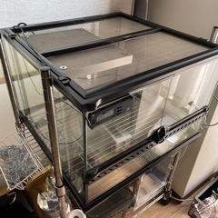 爬虫類 ケージ の画像