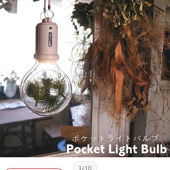 POCKET LIGHT BULB ポケット ライト バルブ