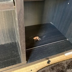 スライド式2列本棚②、商談中の画像