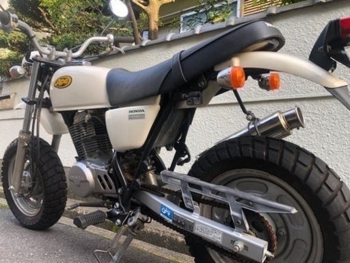 HONDA エイプ100 美車