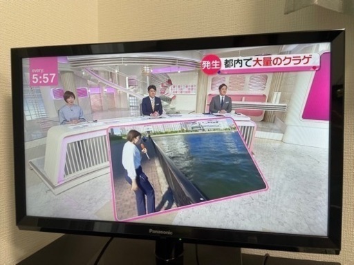 Panasonic テレビ TH-24H300 24型
