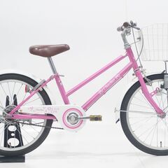 JUNK ダイニチ CHAN STAR Jr 2019年モデル ...