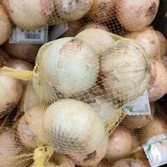 コメント専用ページ　無農薬朝採野菜(サンプル画像です)の画像