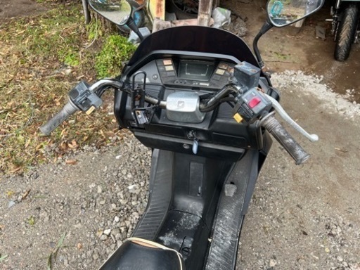 売れました！　フュージョン