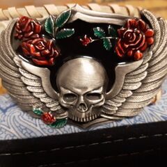 スカルウイングの画像