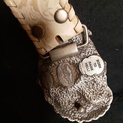 スカルウイングの画像