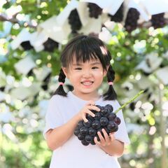 葡萄と桃の軽作業アルバイトの画像