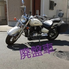 大型バイク ドラッグスター1100クラシック 廃盤車