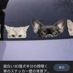 可愛いワンちゃんのビッグなシールです☺️の画像