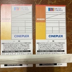 ユナイテッドシネマ　チケット　2セット