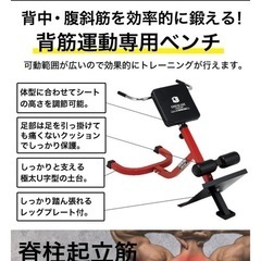 背筋 腹斜筋　トレーニング ファイティングロード サイドベンド トレーニングマシン 筋トレの画像