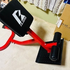 背筋 腹斜筋　トレーニング ファイティングロード サイドベンド トレーニングマシン 筋トレの画像