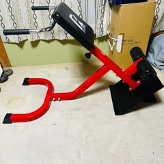 背筋 腹斜筋　トレーニング ファイティングロード サイドベンド ...