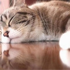 女性のお友達を募集します/ make female friends
