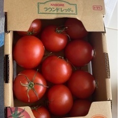 福島産トマト