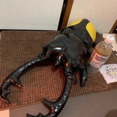 クワガタ♡リアル特大ぬいぐるみ♪