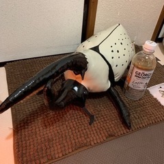 カブトムシ♡リアル特大ぬいぐるみ♪