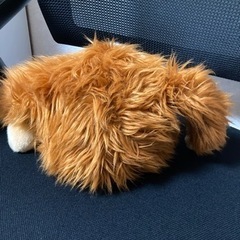 オランウータンのぬいぐるみの画像