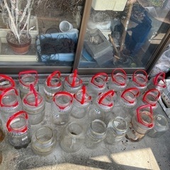 梅酒 かりん酒 瓶 