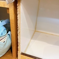 爬虫類用ゲージ  の画像