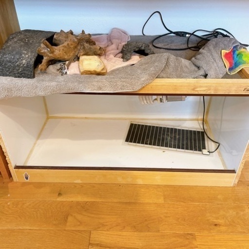 爬虫類用ゲージ