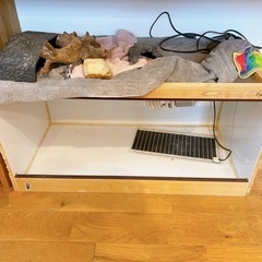 爬虫類用ゲージ  