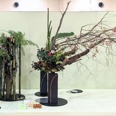 　池坊いけばな教室の画像