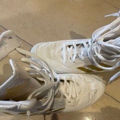 アディダス ボクシングシューズ（23.5cmサイズ）の画像