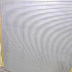 ブラインド　幅160cm✕高さ180cm