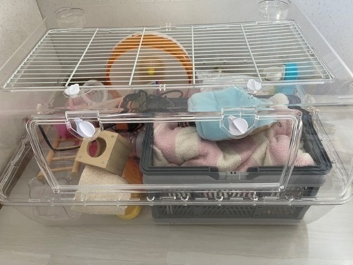 ルーミー60とその他もろもろ