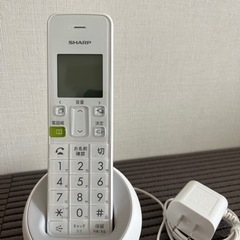 断捨離のため　固定？電話