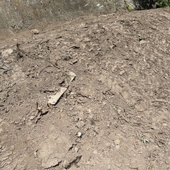 ガラ入土 石もありますの画像