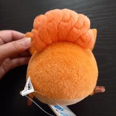 ポケモン/ころりんフレンズ/ぬいぐるみ/ロコン/新品未使用の画像