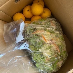 小夏みかんと野菜