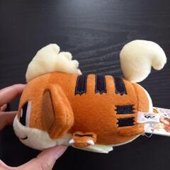 ポケモン/ころりんフレンズ/ぬいぐるみ/ガーディ/新品未使用の画像