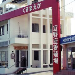 車えび専門店正社員(調理)募集！の画像