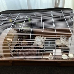 【値下げ可】ハリネズミ飼育セット2