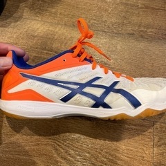 卓球 シューズの画像