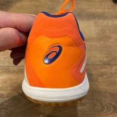 卓球 シューズの画像