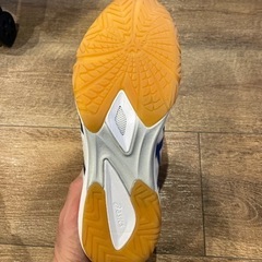 卓球 シューズの画像