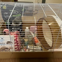【値下げ可】ハリネズミ飼育セット