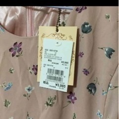 ワンピース　の画像