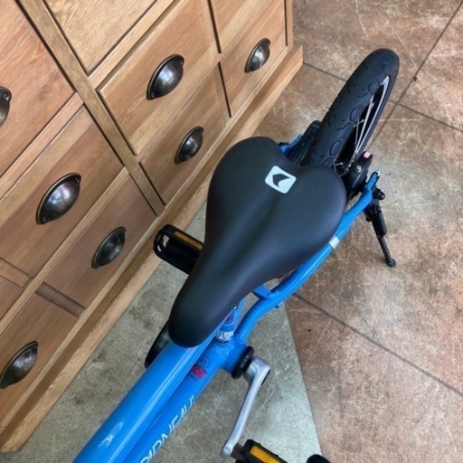 7/10 値下げ?極美品?LOUIS GARNEAU 16インチ キッズ自転車 LGS-K16 lite ルイガノ 582