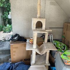 猫用品　引き取り可能な方