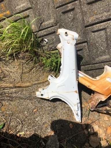 ダックス　中華フレーム