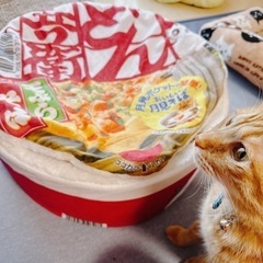 どん兵衛 犬猫用