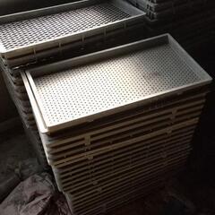 田植え、苗箱、育苗箱 200枚程度の画像